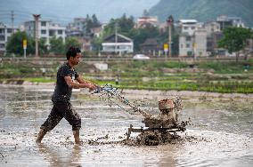 China Agriculture