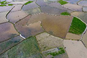 China Agriculture