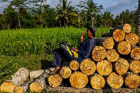 Balinese Hindus Perform Prayer Ahead Of Saraswati Day