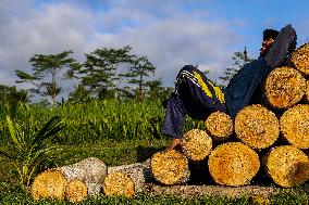 Balinese Hindus Perform Prayer Ahead Of Saraswati Day