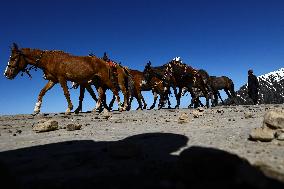 Mughal Road Opened In Kashmir