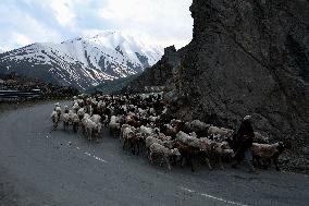 Daily Life In Jammu And Kashmir