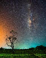 The Milky Way Over The Paddy Field In Habarana