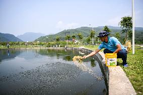 CHINA-GUANGXI-GUIPING-DATENG GORGE WATER CONSERVANCY PROJECT (CN)