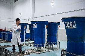 CHINA-GUANGXI-GUIPING-DATENG GORGE WATER CONSERVANCY PROJECT (CN)