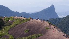 BRAZIL-RIO DE JANEIRO-TIJUCA NATIONAL PARK