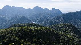 BRAZIL-RIO DE JANEIRO-TIJUCA NATIONAL PARK