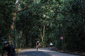 BRAZIL-RIO DE JANEIRO-TIJUCA NATIONAL PARK