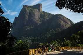 BRAZIL-RIO DE JANEIRO-TIJUCA NATIONAL PARK