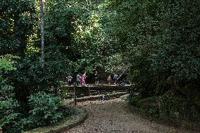 BRAZIL-RIO DE JANEIRO-TIJUCA NATIONAL PARK