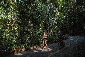 BRAZIL-RIO DE JANEIRO-TIJUCA NATIONAL PARK