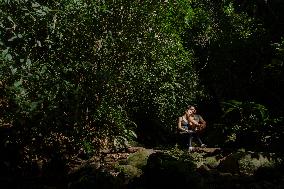 BRAZIL-RIO DE JANEIRO-TIJUCA NATIONAL PARK