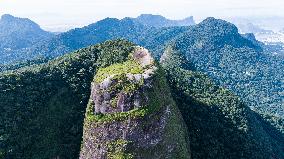 BRAZIL-RIO DE JANEIRO-TIJUCA NATIONAL PARK