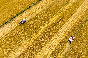China Wheat Harvesting