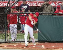 Baseball: Ohtani's on-field batting practice