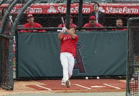 Baseball: Ohtani's on-field batting practice