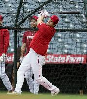 Baseball: Ohtani's on-field batting practice