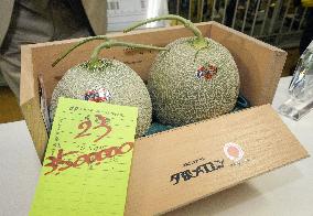Premium melons from Hokkaido
