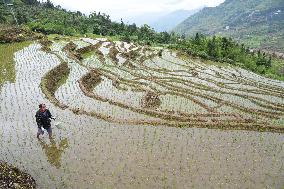 CHINA-FUJIAN-YOUXI-TERRACED FIELDS (CN)