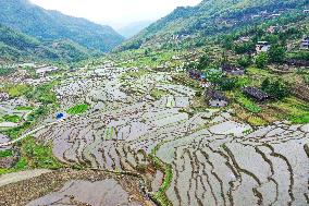 CHINA-FUJIAN-YOUXI-TERRACED FIELDS (CN)