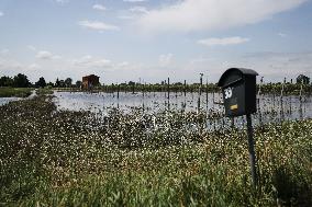 Flood Damages In Conselice In Emilia Romagna