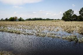 Flood Damages In Conselice In Emilia Romagna