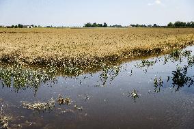 Flood Damages In Conselice In Emilia Romagna