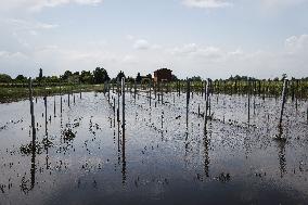 Flood Damages In Conselice In Emilia Romagna