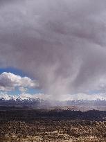 CHINA-TIBET-ZANDA-EARTH FOREST-SCENERY (CN)