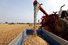 China Agriculture Harvest