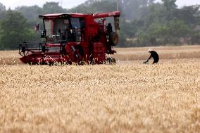 China Agriculture Harvest