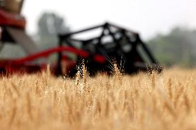 China Agriculture Harvest