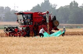 China Agriculture Harvest