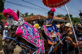 Traditional Sundanese Culture Kuda Renggong Festival In Sumedang