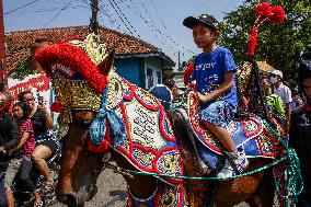 Traditional Sundanese Culture Kuda Renggong Festival In Sumedang