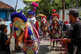 Traditional Sundanese Culture Kuda Renggong Festival In Sumedang