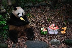 CHINA-SICHUAN-CHENGDU-GIANT PANDA-MEI LAN-SEVENTH BIRTHDAY (CN)