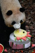 CHINA-SICHUAN-CHENGDU-GIANT PANDA-MEI LAN-SEVENTH BIRTHDAY (CN)