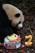 CHINA-SICHUAN-CHENGDU-GIANT PANDA-MEI LAN-SEVENTH BIRTHDAY (CN)