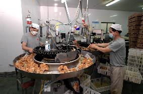 Breeding Intelligence