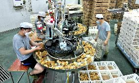 Breeding Intelligence