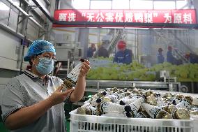 China Agricultural Processing Industry