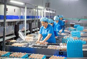 Poultry And Egg Industry In China
