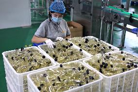 China Agricultural Processing Industry