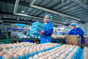 Poultry And Egg Industry In China