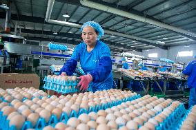 Poultry And Egg Industry In China