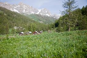 Nevache Valley In The Alpes