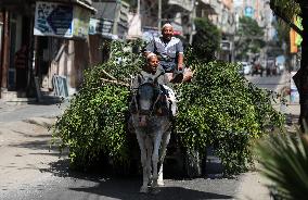 Daily Life In Gaza, Palestine