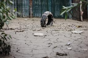 The Flood Damage In Faenza In Emilia Romagna