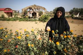 Daily Life In Gaza, Palestine